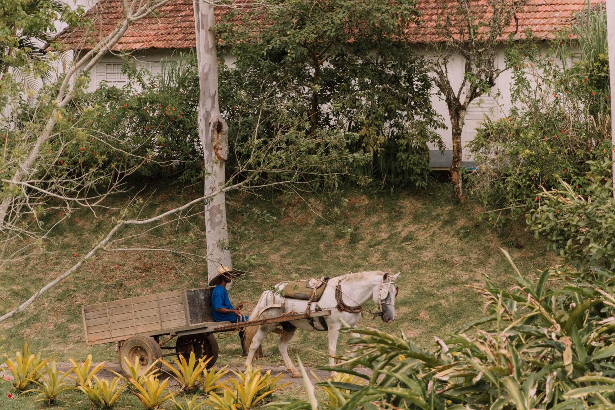 Resort Fazenda 3 Pinheiros Engenheiro Passos Luaran gambar